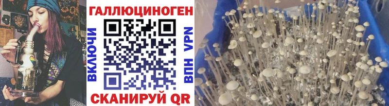 Псилоцибиновые грибы GOLDEN TEACHER  Починок 